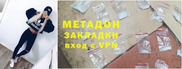 прущие грибы Лабытнанги