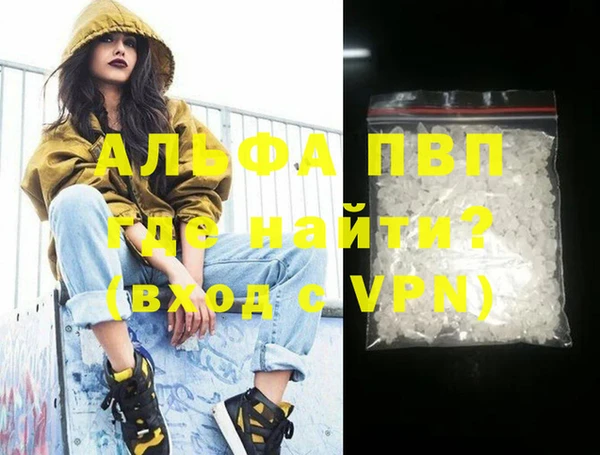 прущие грибы Лабытнанги