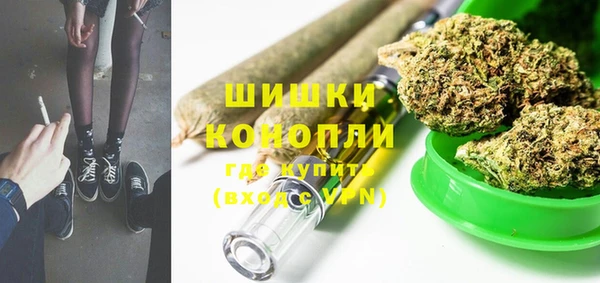 прущие грибы Лабытнанги