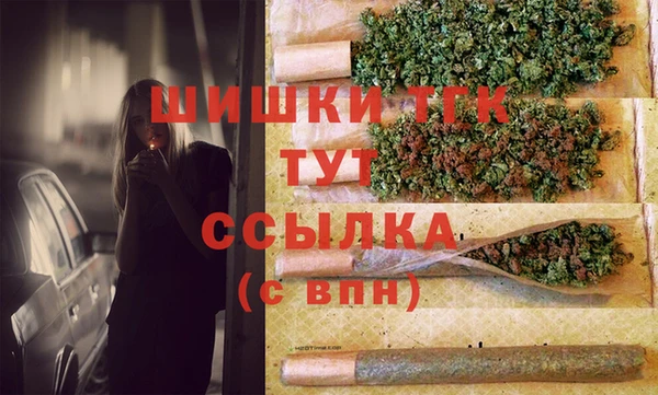прущие грибы Лабытнанги