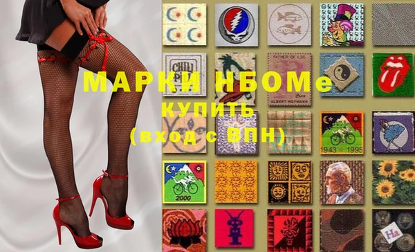 прущие грибы Лабытнанги