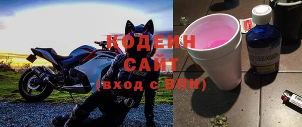 прущие грибы Лабытнанги