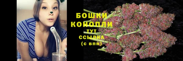 бутират Лагань